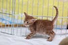 999-(1)