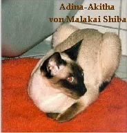 Akitha-4 Akitha-4