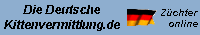 Banner-kitten.de