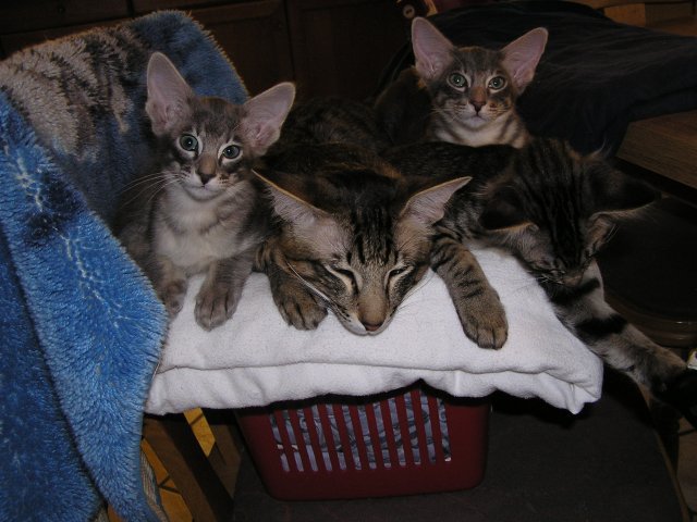 MN_14012009 013