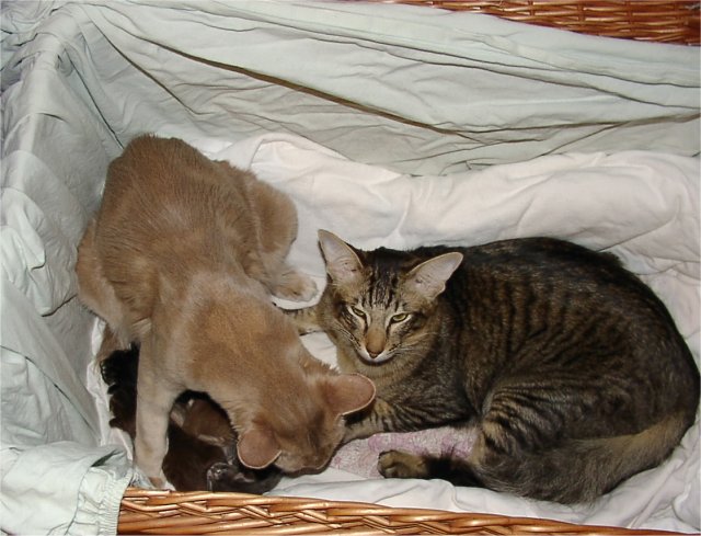 M_20102008 005