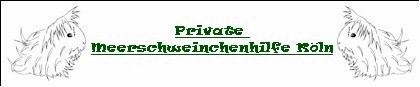 Meerihilfe%20koeln
