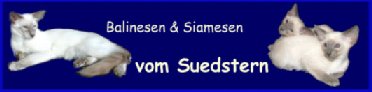 Suedstern04-3b