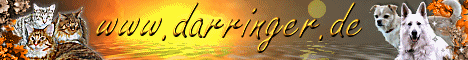 _darringer1