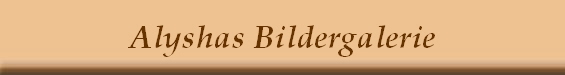 Alyshas Bildergalerie