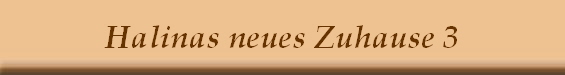 Halinas neues Zuhause 3