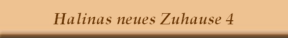 Halinas neues Zuhause 4
