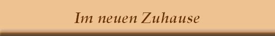 Im neuen Zuhause