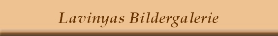 Lavinyas Bildergalerie