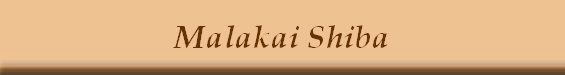 Malakai Shiba
