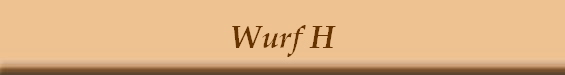 Wurf H