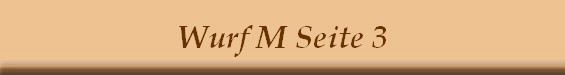 Wurf M Seite 3