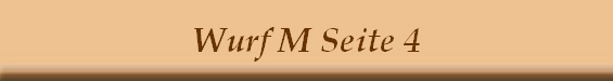 Wurf M Seite 4