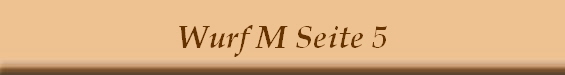 Wurf M Seite 5