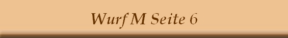 Wurf M Seite 6