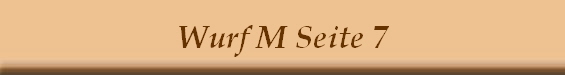 Wurf M Seite 7