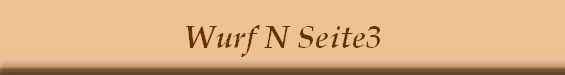 Wurf N Seite3