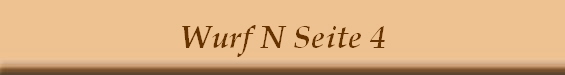 Wurf N Seite 4