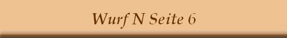 Wurf N Seite 6