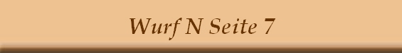 Wurf N Seite 7