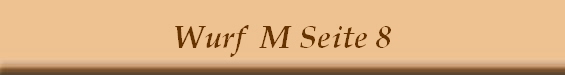 Wurf  M Seite 8