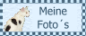bannerlein_fotokiste
