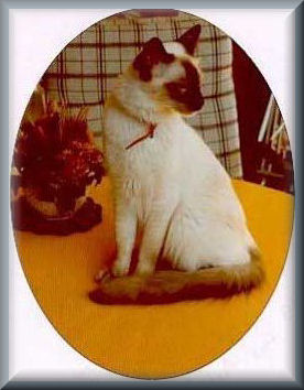 barouche2002