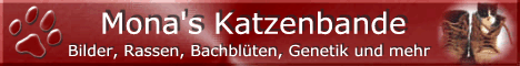 cyperwelten