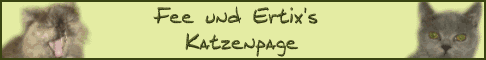 fee-ertix_banner