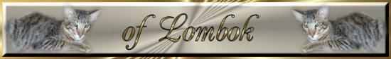 lombok