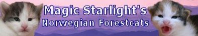 magicstarlight magicstarlight