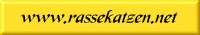 rassekatzen.net