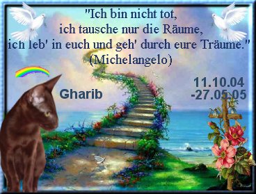regenbogen-gharib regenbogen-gharib