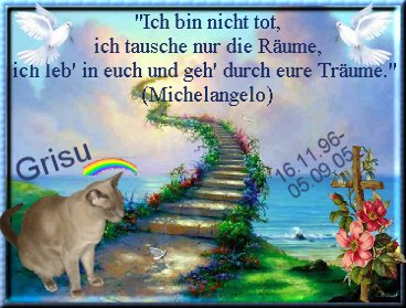 regenbogen-grisu regenbogen-grisu