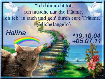 regenbogen-halina regenbogen-halina