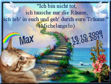 regenbogen-max regenbogen-max
