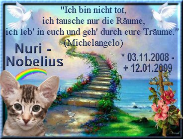 regenbogen-nobelius regenbogen-nobelius