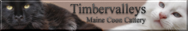 timberbanner2007